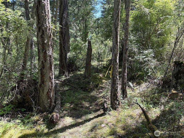 0 Thimbleberry Ln, Friday Harbor, WA 98250 - photo 2