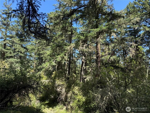 0 Thimbleberry Ln, Friday Harbor, WA 98250 - photo 6