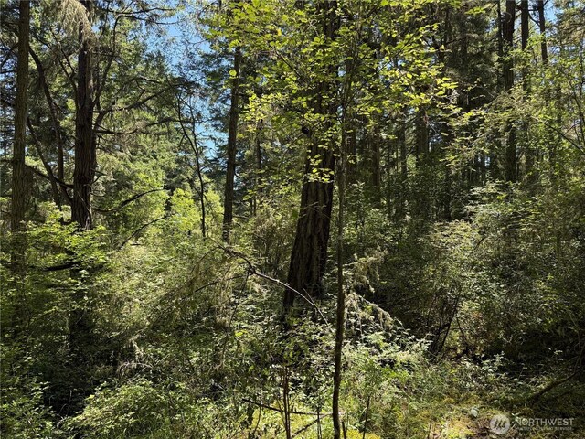 0 Thimbleberry Ln, Friday Harbor, WA 98250 - photo 8