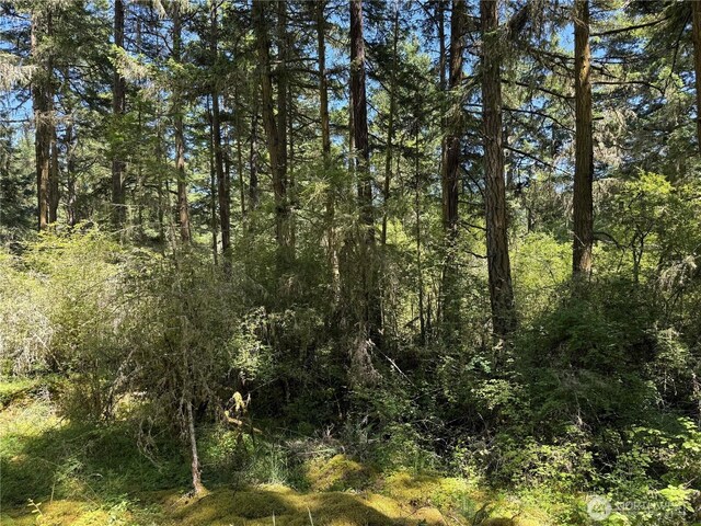 0 Thimbleberry Ln, Friday Harbor, WA 98250 - photo 10