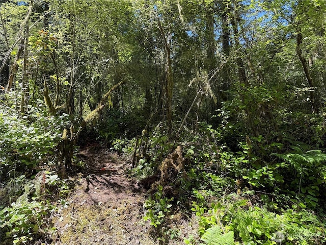 0 Thimbleberry Ln, Friday Harbor, WA 98250 - photo 13