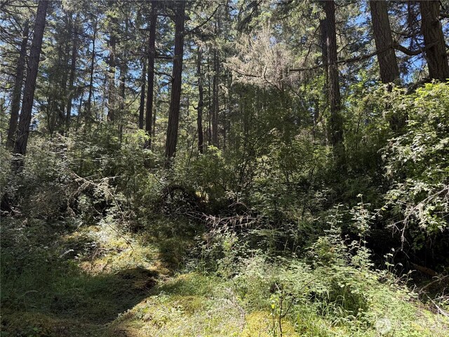 0 Thimbleberry Ln, Friday Harbor, WA 98250 - photo 12