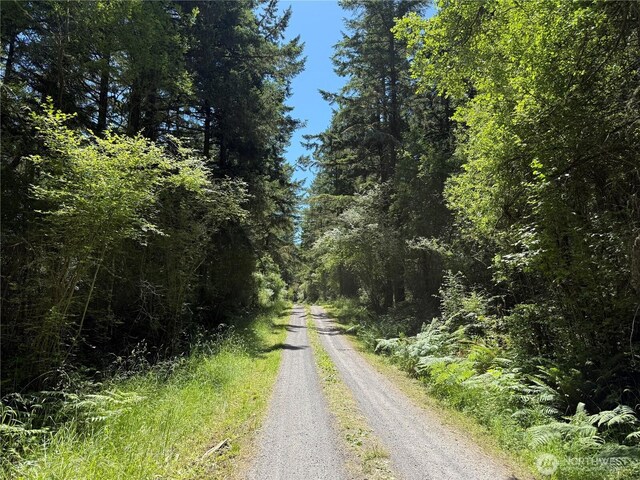 0 Thimbleberry Ln, Friday Harbor, WA 98250 - photo 1
