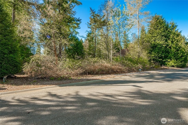8647 Great Horned Owl Ln, Blaine, WA 98230 - photo 1