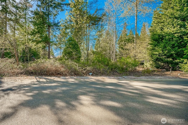 8647 Great Horned Owl Ln, Blaine, WA 98230 - photo 3