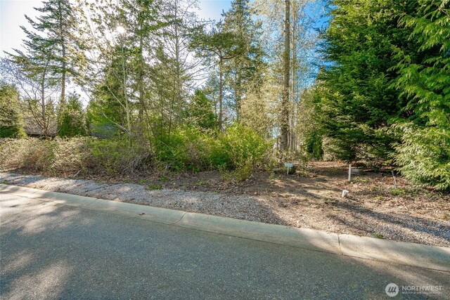 8647 Great Horned Owl Ln, Blaine, WA 98230 - photo 4