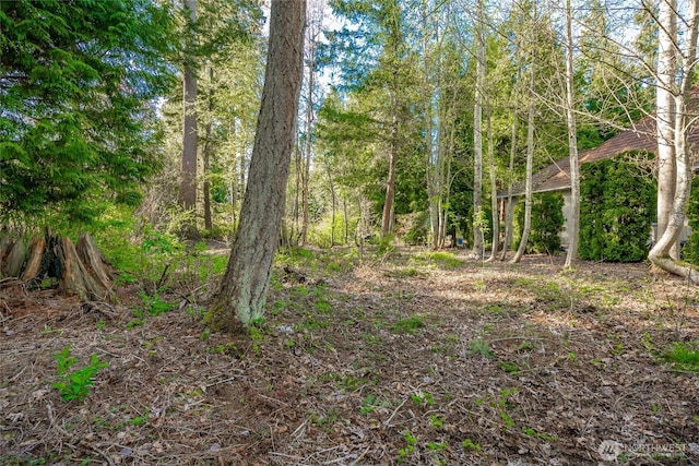 8647 Great Horned Owl Ln, Blaine, WA 98230 - photo 6