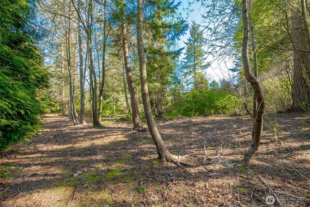 8647 Great Horned Owl Ln, Blaine, WA 98230 - photo 9