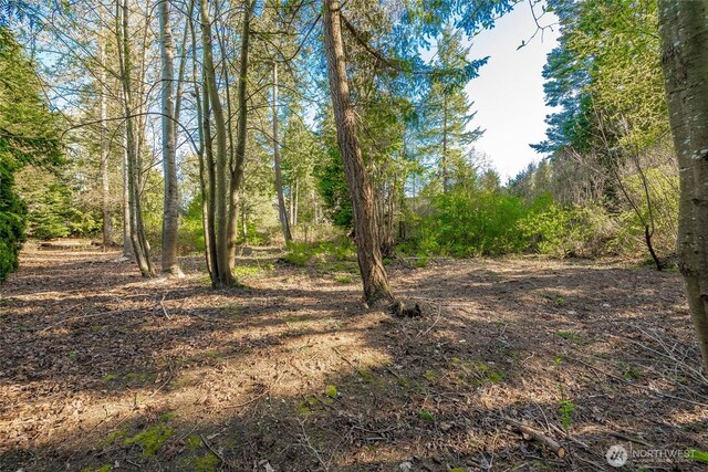 8647 Great Horned Owl Ln, Blaine, WA 98230 - photo 10