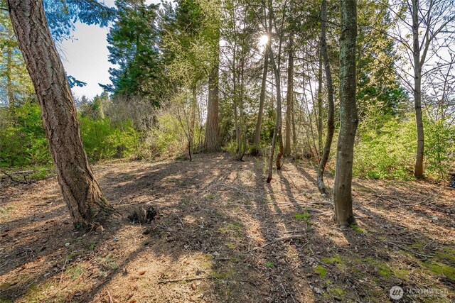 8647 Great Horned Owl Ln, Blaine, WA 98230 - photo 11