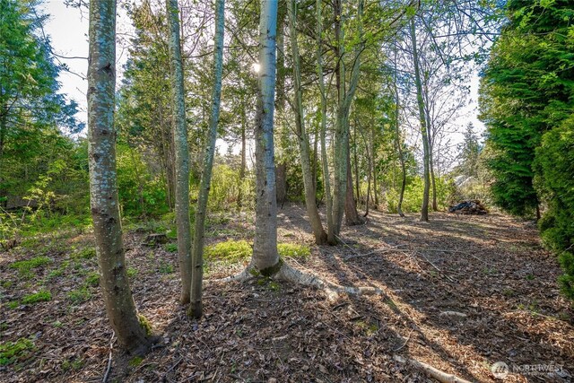 8647 Great Horned Owl Ln, Blaine, WA 98230 - photo 12