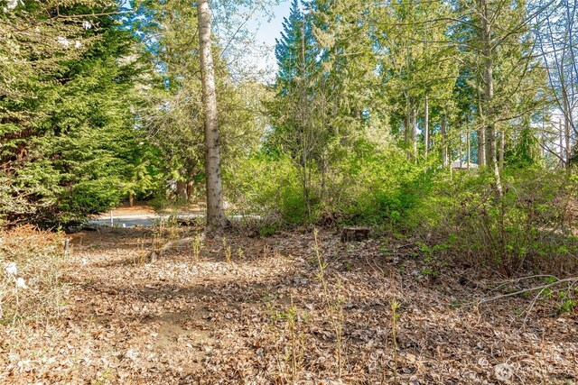 8647 Great Horned Owl Ln, Blaine, WA 98230 - photo 13