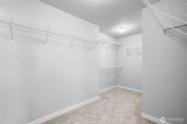 3410 102nd Ave NE, Lake Stevens, WA 98258 - spacious closet with carpet flooring