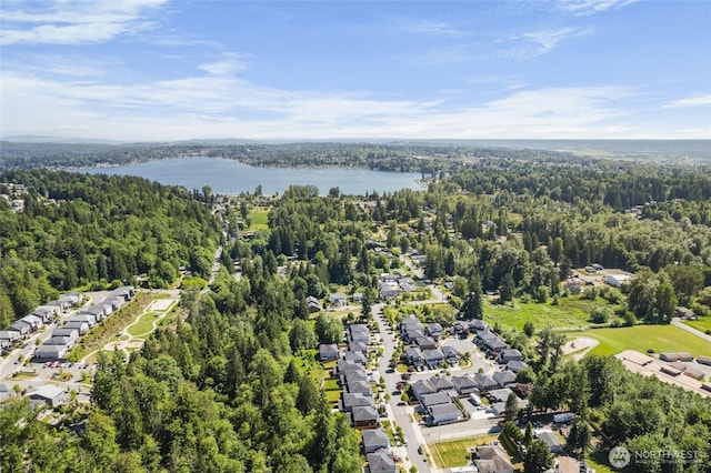 3410 102nd Ave NE, Lake Stevens, WA 98258 - aerial view of residential area with a forest and a large body of water