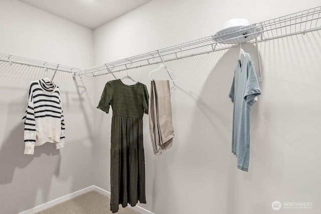 206 18th Dr Unit 104, Snohomish, WA 98290 - walk in closet with carpet flooring