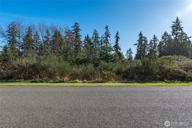 99 Lylus Ln, Lot Port Hadlock, WA 98339 - photo 3