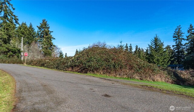 99 Lylus Ln, Lot Port Hadlock, WA 98339 - photo 4