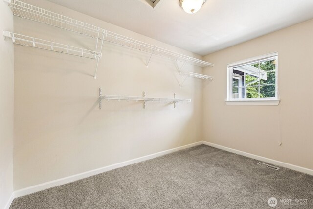 5004 98th Avenue Ct W, University Place, WA 98467 - walk in closet with carpet