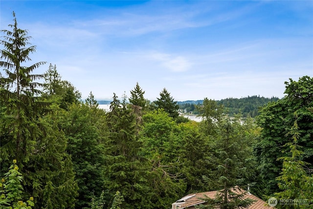 7650 SE Southworth Dr, Port Orchard, WA 98366 - view of tree filled area