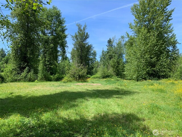 31520 94th Ave E, Eatonville, WA 98328 - photo 38