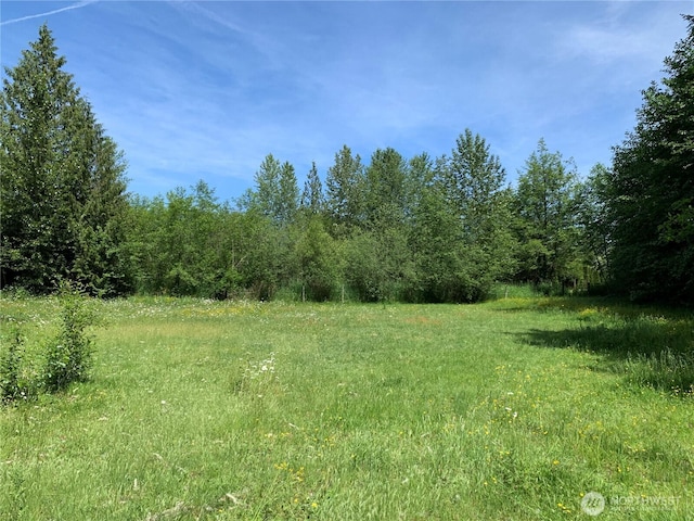 31520 94th Ave E, Eatonville, WA 98328 - photo 39