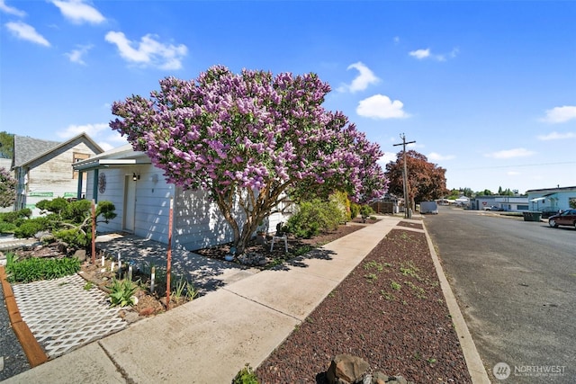 214 N Jefferson St, Ritzville, WA 99169 - photo 33