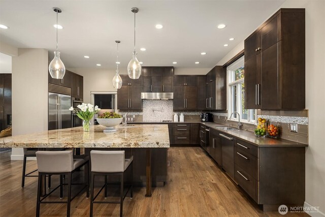 212 5th Ave W, Kirkland, WA 98033 - kitchen with appliances with stainless steel finishes, under cabinet range hood, a sink, dark brown cabinets, and dark wood-type flooring