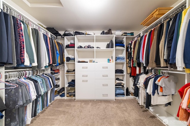 15177 Prescott Loop SE, Yelm, WA 98597 - walk in closet with carpet flooring