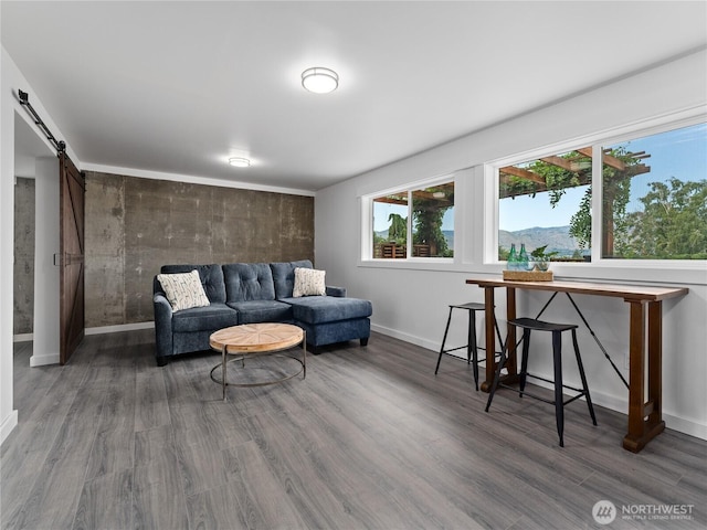 2540 N Astor Ave, East Wenatchee, WA 98801 - living area featuring a barn door and wood finished floors