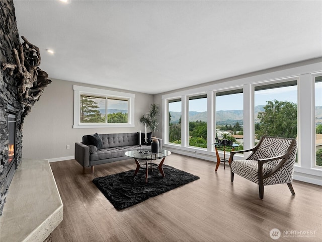 2540 N Astor Ave, East Wenatchee, WA 98801 - living room featuring wood finished floors, a mountain view, and a stone fireplace