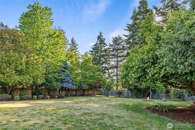 1003 9th St NW, Puyallup, WA 98371 - view of fenced backyard
