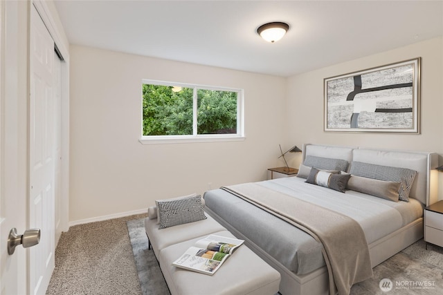 1003 9th St NW, Puyallup, WA 98371 - carpeted bedroom featuring a closet and baseboards