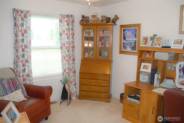 3081 Wild Goose Rd NE, Moses Lake, WA 98837 - sitting room with light carpet