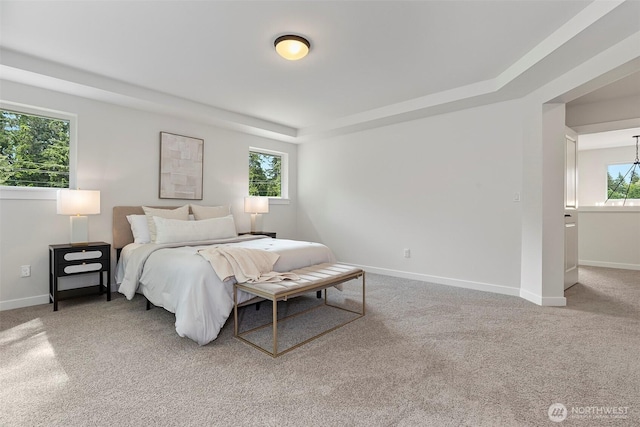 7150 90th Street Ct E, Puyallup, WA 98371 - bedroom with baseboards, carpet floors, and a tray ceiling