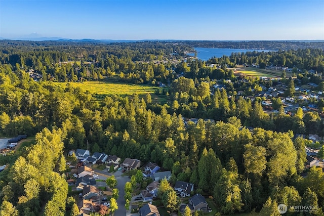 2919 127th Ave NE, Lake Stevens, WA 98258 - photo 28