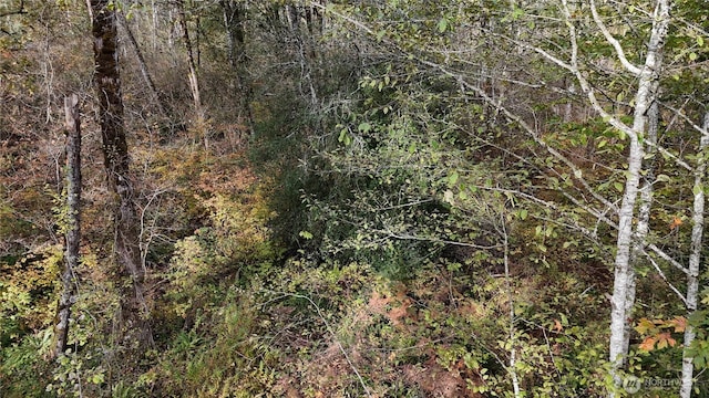 1 W Lake Samish Dr, Bellingham, WA 98229