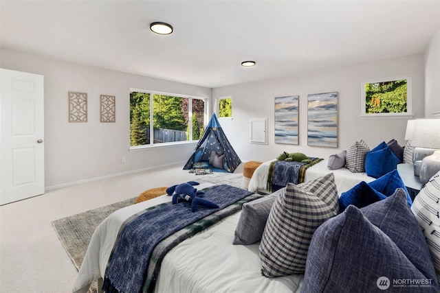 11734 167th Ct NE, Redmond, WA 98052 - bedroom featuring carpet floors and multiple windows