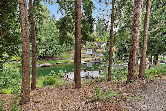 2422 179th Ave E, Lake Tapps, WA 98391 - water view featuring a dock