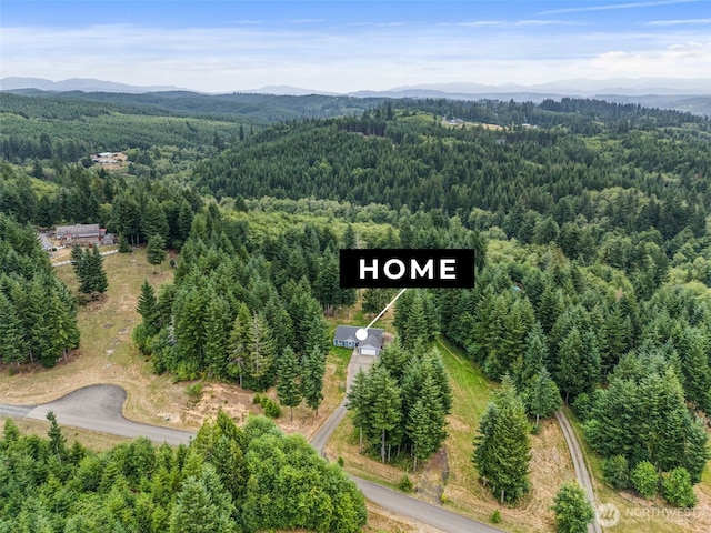 36 Blacktail Ridge Ln, Elma, WA 98541 - photo 5