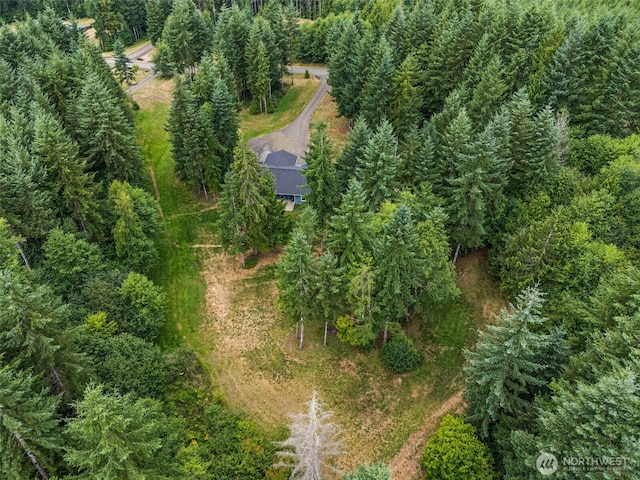 36 Blacktail Ridge Ln, Elma, WA 98541 - photo 26