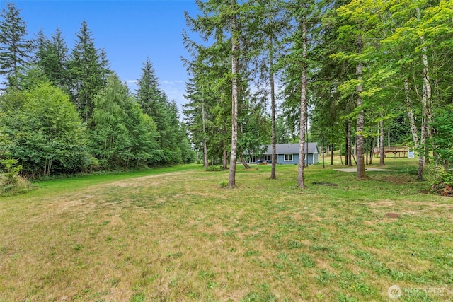 36 Blacktail Ridge Ln, Elma, WA 98541 - photo 27