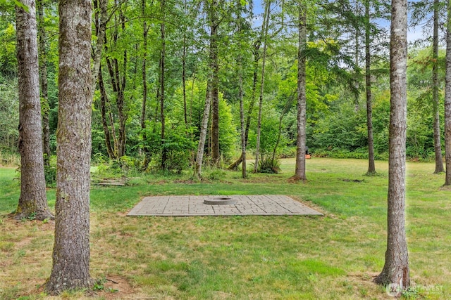 36 Blacktail Ridge Ln, Elma, WA 98541 - photo 33