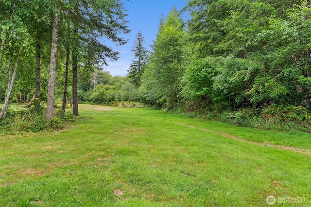36 Blacktail Ridge Ln, Elma, WA 98541 - photo 35