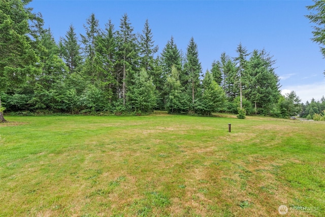 36 Blacktail Ridge Ln, Elma, WA 98541 - photo 36