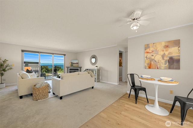 700 11th St Unit C-1, Bellingham, WA 98225 - photo 4