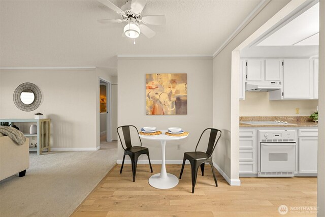 700 11th St Unit C-1, Bellingham, WA 98225 - photo 5