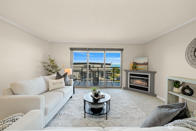 700 11th St Unit C-1, Bellingham, WA 98225 - photo 8
