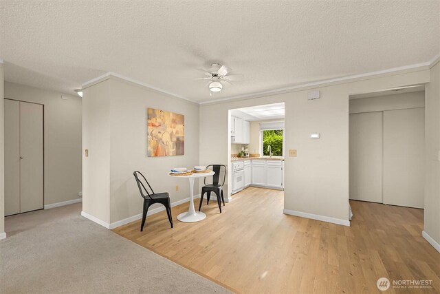 700 11th St Unit C-1, Bellingham, WA 98225 - photo 10