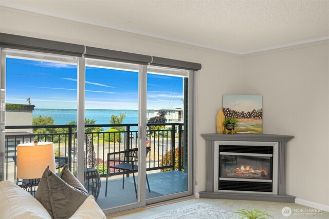 700 11th St Unit C-1, Bellingham, WA 98225 - photo 11