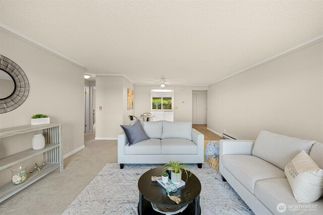 700 11th St Unit C-1, Bellingham, WA 98225 - photo 13